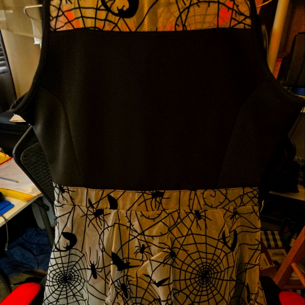 Xl Sleeveless Spider Web Dress